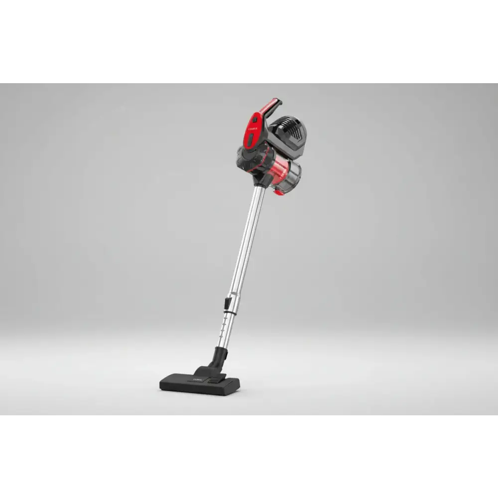 Aspirateur a balais COBRA B29 - Cobra