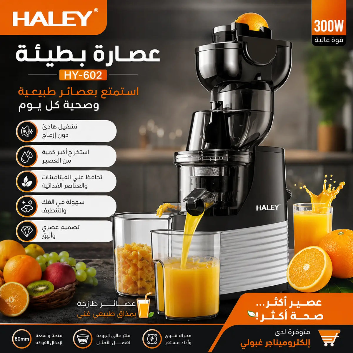 Extracteur haley hy-602 juicer noir et argent au design moderne et épuré pour extraction de jus efficace