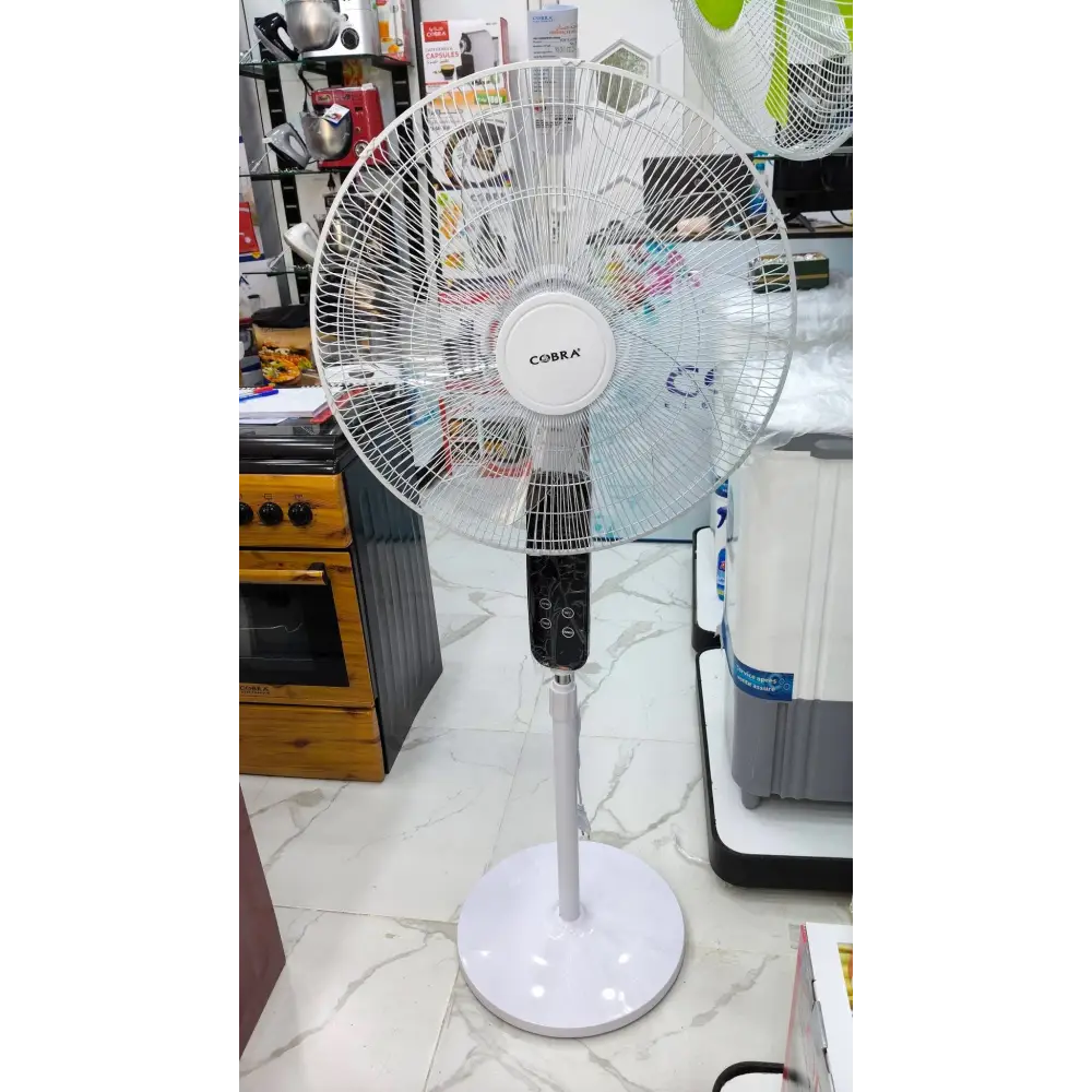 Ventilateur à pieds 2011 - Newstar