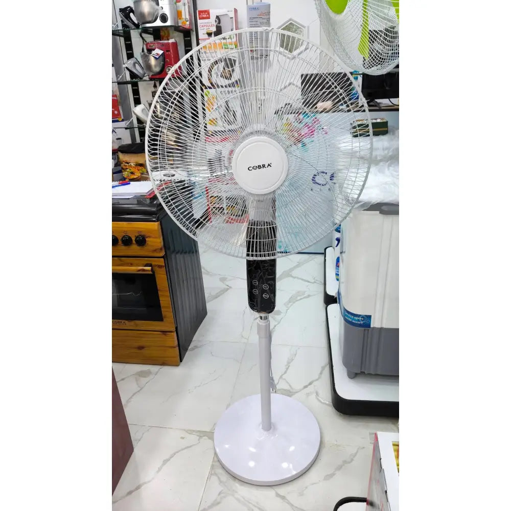 Ventilateur à pieds 2011 - Newstar